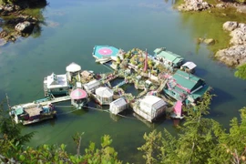 Nhà nổi độc nhất vô nhị