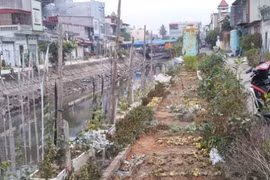 Phun thuốc diệt cỏ vào vườn rau nhà hàng xóm để "giải tỏa bực bội" 