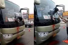 Thoát chết hy hữu dù lao nửa người qua kính xe