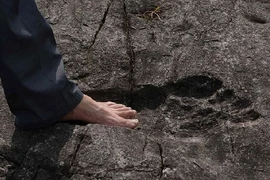 Phát hiện dấu chân người khổng lồ dài tới 57cm, rộng 20cm