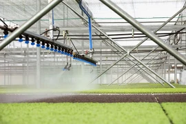 "Mục sở thị" công nghệ nông nghiệp đỉnh cao của Israel tại VinEco