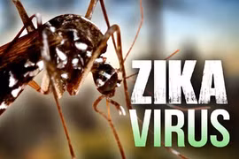 Chưa có thông tin chi tiết về người phụ nữ Việt Nam nhiễm Zika tại Nhật Bản