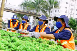 Hà Nội tạm dừng cắt cỏ để xây dựng lại quy trình hiệu quả hơn