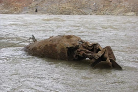 Phát hiện bom tấn trong trường học