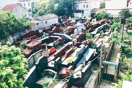 "Sống" cùng...người chết