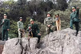 Chó nghiệp vụ truy tìm nghi can giết 4 người ở Lào Cai