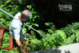 Bí ẩn hầm luyện đan sa dưới ngôi đình nghìn tuổi