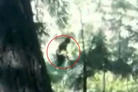 Bí ẩn kẻ sát nhân có biệt danh “người rừng” (2)