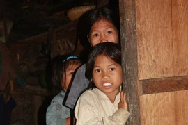 Những "người rừng" bơ vơ nơi quanh năm mây mù bao phủ