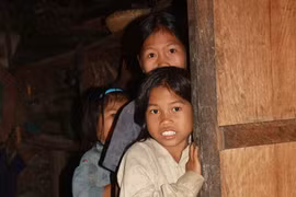 Những "người rừng" bơ vơ nơi quanh năm mây mù bao phủ