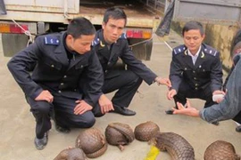 Buôn động vật hoang dã, “bỏ của chạy lấy người”