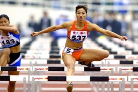 Mơ căn nhà giá rẻ cho mái ấm đầy bi kịch