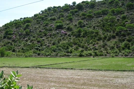 Chuẩn bị thăm dò lần cuối "kho báu" núi Tàu