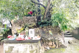 Kho báu dưới núi thiêng, chuyện hư và thực