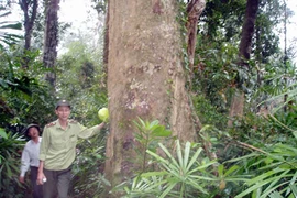 Trả lại “nhà” cho muông thú