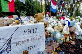 9 nạn nhân trong vụ MH17 vẫn còn mất tích