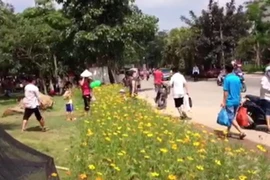 Vô ý thức, người lớn và trẻ em cùng giẫm nát hoa nơi công cộng