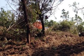 Cận cảnh khu vực an táng thi hài Đại tướng Võ Nguyên Giáp