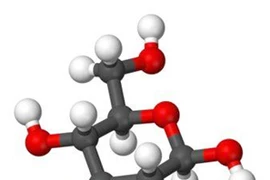 Glucosamin – Thành phần thiết yếu trong hỗ trợ điều trị thoái hóa khớp.