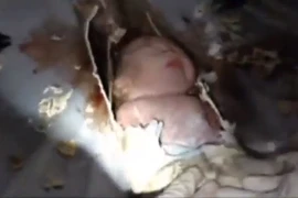 Ly kỳ vụ giải cứu bé sơ sinh trong đường ống xí bệt