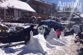 Nắng tuyết Sa Pa hút hồn du khách thập phương