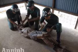 Chùm video: Những trò tra tấn tù binh dã man tại nhà tù Phú Quốc