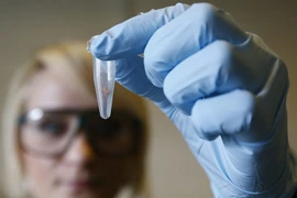 Phát hiện gene quyết định tuổi con người "mất trinh"