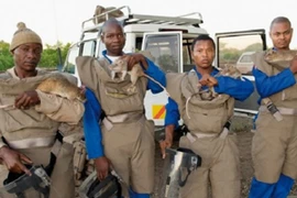 Chuột túi Gambia: “Anh hùng” rà soát bom mìn và chẩn đoán bệnh lao