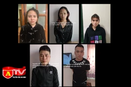 Bắt giữ ổ nhóm tổ chức sử dụng trái phép chất ma tuý