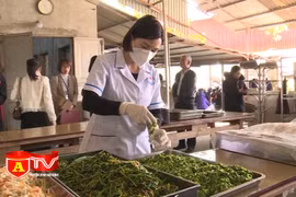 Dùng kit test nhanh để kiểm soát an toàn thực phẩm lễ hội