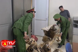 Phát hiện 3 bộ da và 2 đầu hổ trên xe taxi