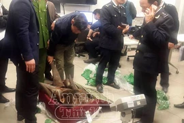 Hà Nội: Bắt giữ lô hàng nghi là sừng tê giác trị giá hơn 20 tỷ đồng