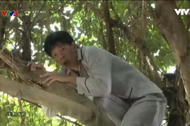 Bình Minh "xuất thần" vào vai một người lúc điên, lúc tỉnh