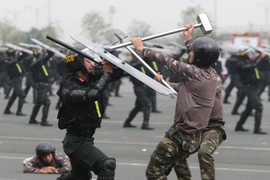 Mãn nhãn xem Cảnh sát cơ động phô diễn võ thuật đối kháng