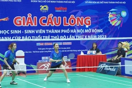 Những mùa giải chuyên nghiệp và giàu cảm xúc