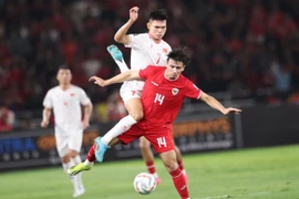 Thua Indonesia, ĐT Việt Nam trượt dài trên bảng xếp hạng FIFA