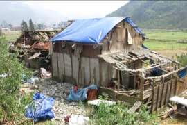 Mưa đá trên diện rộng tại tỉnh Lào Cai