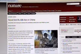 Phát hiện mới về virus cúm gia cầm H7N9