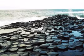 Ngắm "tổ ong" khổng lồ, trải dài hàng trăm mét ven biển Phú Yên