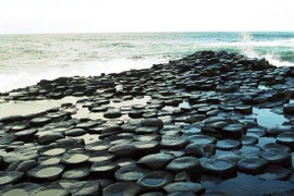 Ngắm "tổ ong" khổng lồ, trải dài hàng trăm mét ven biển Phú Yên