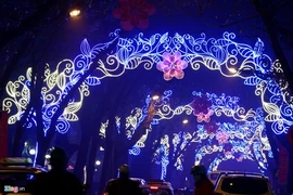 Hà Nội rực rỡ sắc màu đón Xuân