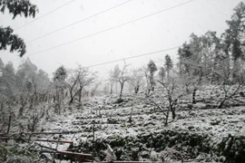 Cuối tuần này có tuyết rơi ở vùng núi phía Bắc