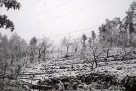 Cuối tuần này có tuyết rơi ở vùng núi phía Bắc