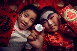 Không khí đón Tết năm mới 2017 trên thế giới