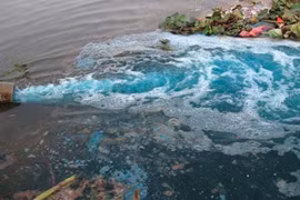 Xử phạt công ty xả thải ra môi trường hơn 200 triệu đồng