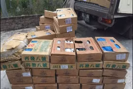 CAH Gia Lâm phát hiện 400kg cá kìm đông lạnh không rõ nguồn gốc