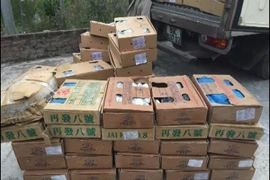 CAH Gia Lâm phát hiện 400kg cá kìm đông lạnh không rõ nguồn gốc