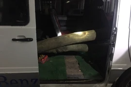 CSGT phát hiện, thu giữ gỗ sưa giấu trong xe ô tô