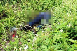 Điều tra rõ thi thể bé gái sơ sinh vứt tại bãi rác công cộng