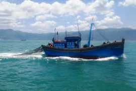 Đang tìm kiếm ngư dân rơi từ tàu đánh bắt xa bờ xuống biển